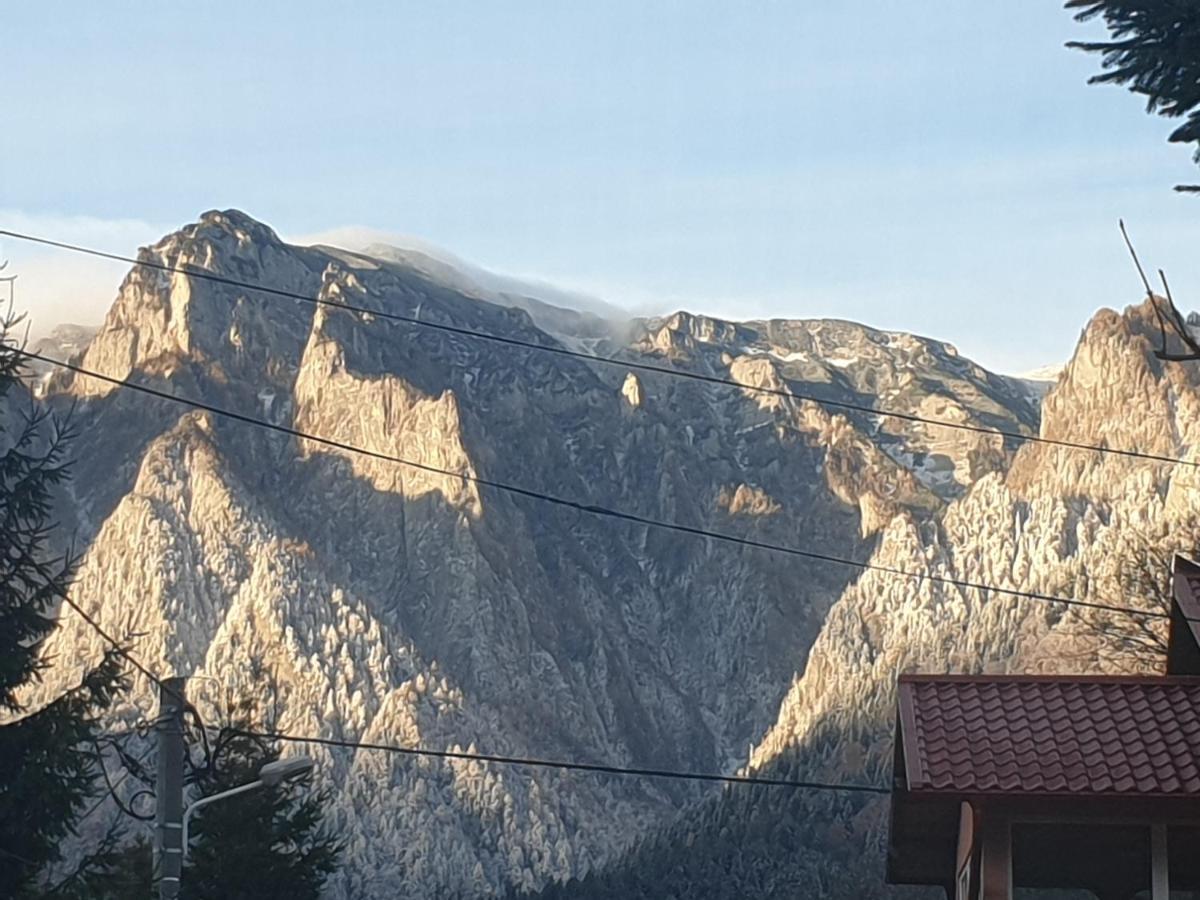 Mountain Break Azuga Ski 외부 사진